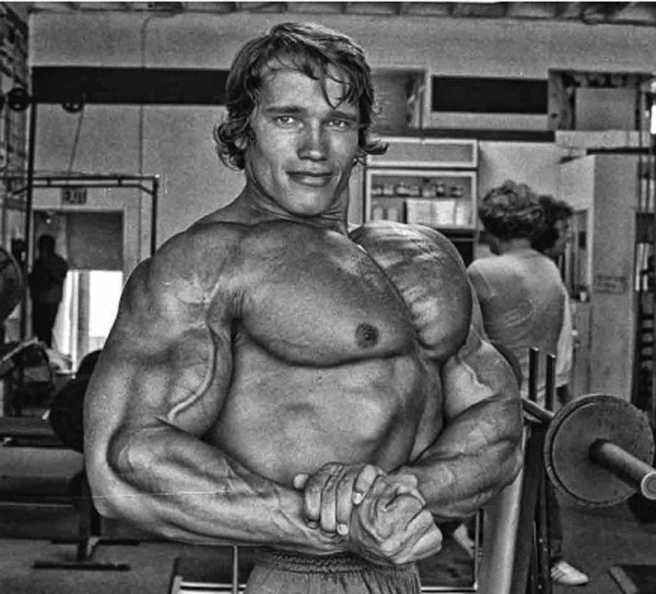 How Arnold Schwarzenegger Used The Gironda Dip To Develop His Lower ...